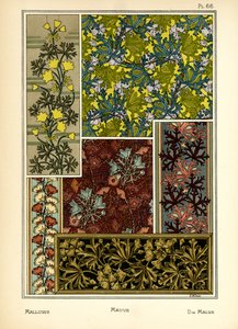La malva de J. Milesi
